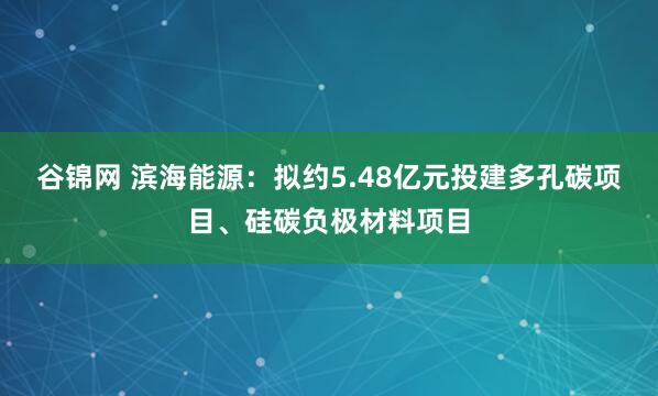 谷锦网 滨海能源:拟约5.48亿元投建多孔碳项目、硅碳负极材料项目